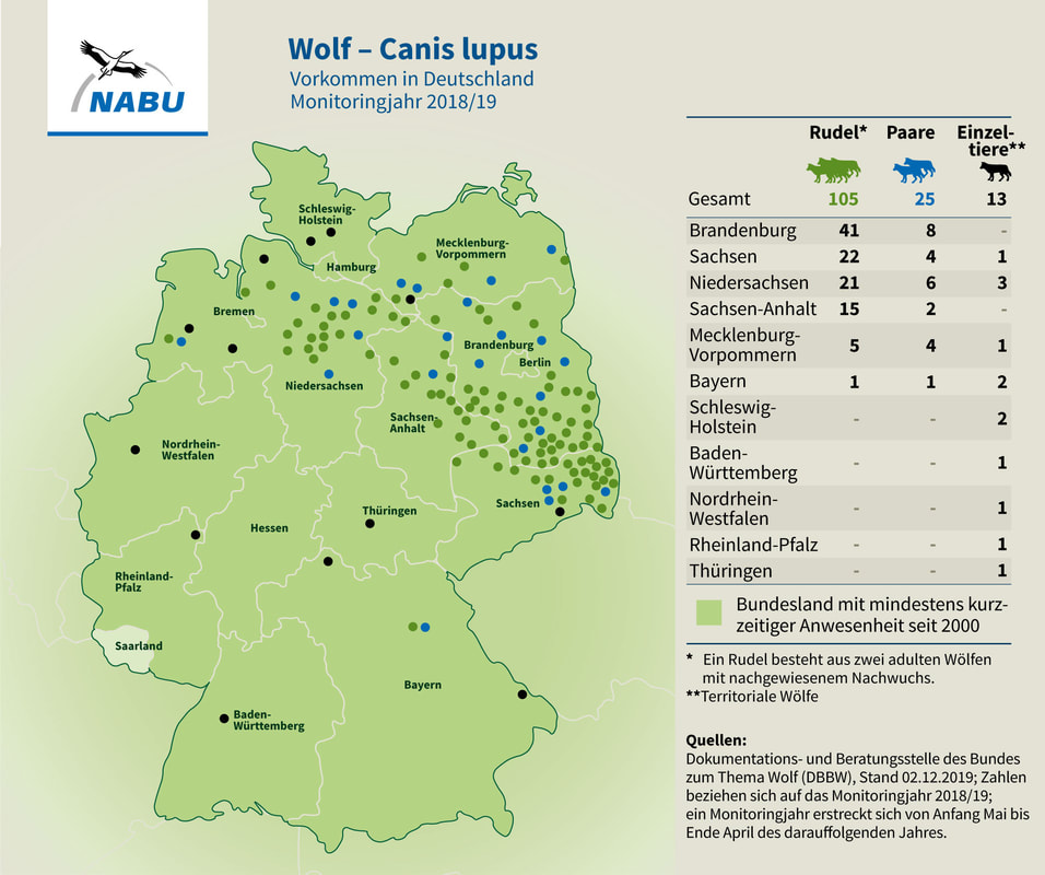 NABU Wolves in Germany, Wölfe in Deutschland, lobos, loups en Allemagne