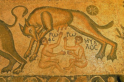Roma, lupa, Romulus and Remus, she wolf, Apamea, mosaic, louve romaine, dieu loup