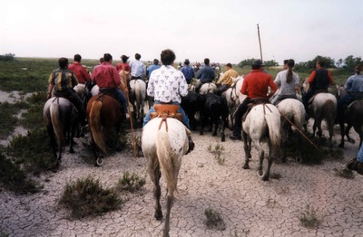 Abrivado, Saintes-Maries, 2001, avec mon cheval Camargue!
