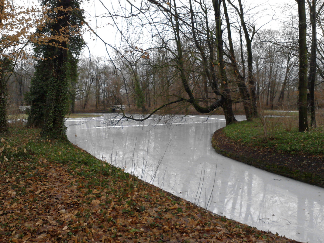 Worms Herrnsheim Schloßpark, See, im Winter