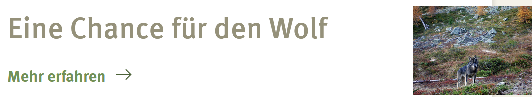 Eine Chance für den Wolf, une chance pour le loup; a chance for the wolf. Mountain Forest Project Switzerland Bergwaldprojekt Alpen