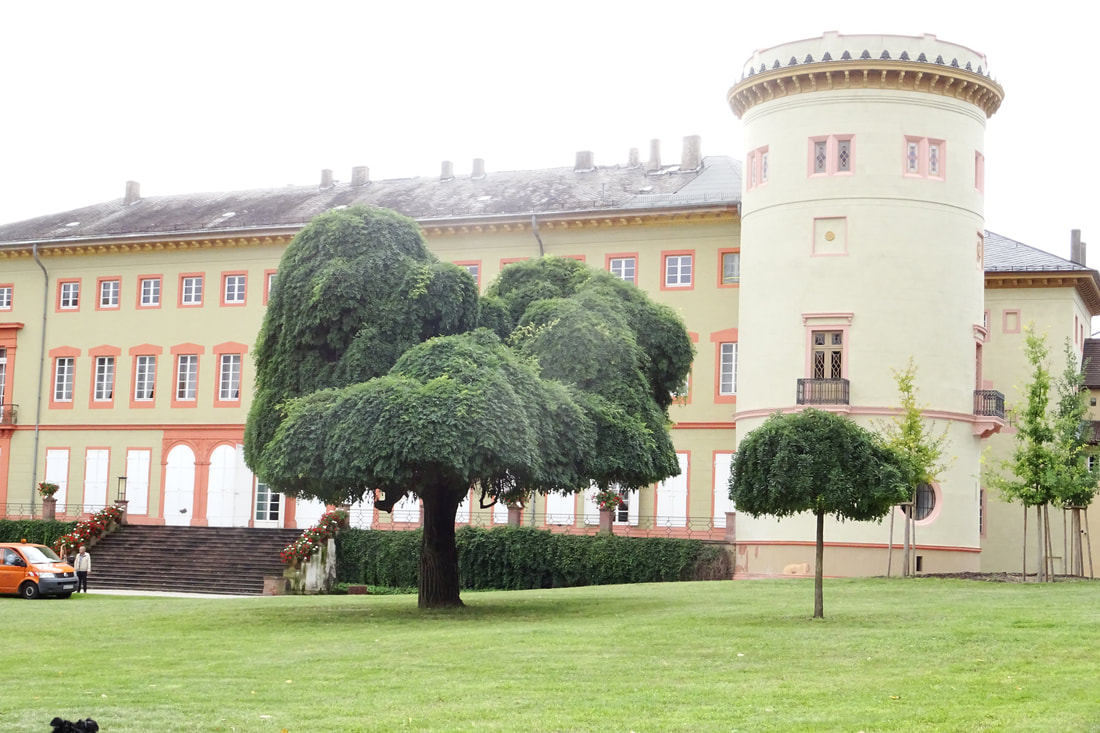 Herrnsheimer Schloss English Garden