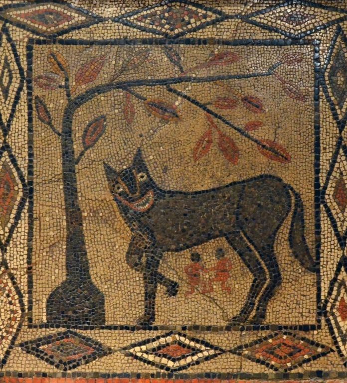 Wolf, Romulus and Remus, Aldborough, Mosaic, Roman lupa, she-wolf 