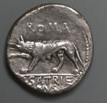Rome, Lupa, She Wolf, Louve, römische Wölfi, röm. Münze, Roman coin, monnaie romaine, Bitch, Romulus