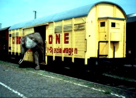 Krone Circus Wagen, Zirkuswagen, Elephantenwagen, Worms Hbf, Güterbahnhof, circus train, Tiertransport