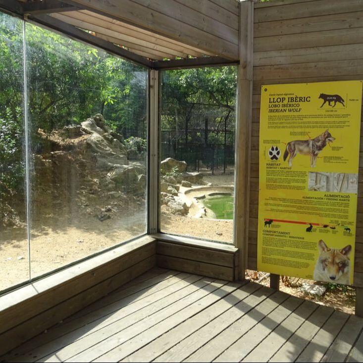 IBerian Wolf Enclosure in Barcelona's Zoo (photo: RH)
