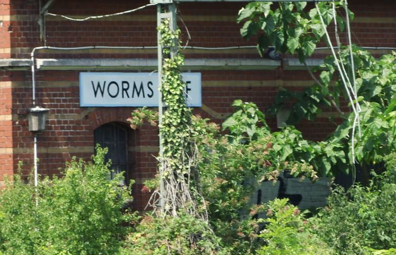 Güterbahnhof Worms goods station