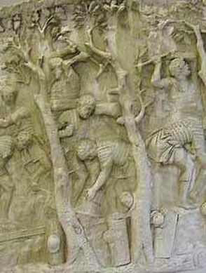 Deforestation in Antiquity, Trajan's column, durabilité, attitudes to nature