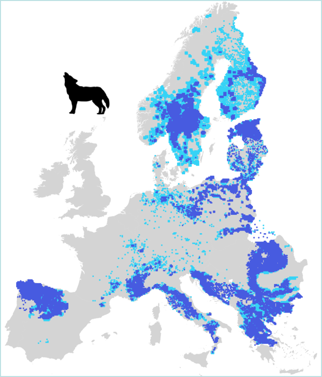 Wolf distribution in Europe, repartition du loup en Europe, lobos Europa, Verbreitung der Wölfe in Europa heute