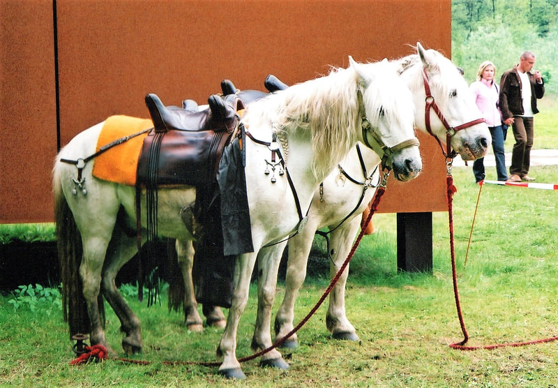 Two Camargue horses with reconstructed Roman saddles and tack in Kalkriese (some 10 years ago, photo: R.H.)