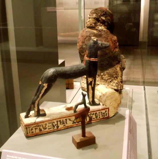 Wepwawet Standard // Standarde mit dem Wolfsgott Wepwawet - 722-732 BC (Museo Torino, photo: R.H.)