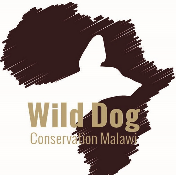 African Wild Dog Conservation Malawi. Painted Wolves. Red List. 