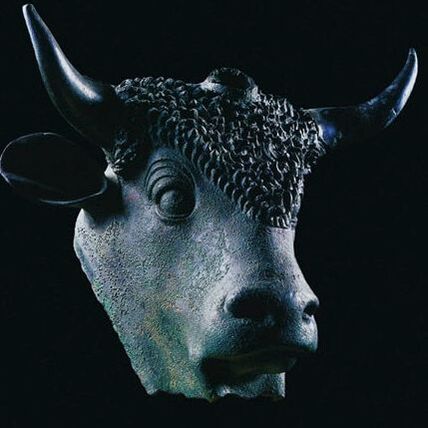 Impressive three-horned bull from Martigny (CH) (photo: Musée Martigny - see link)