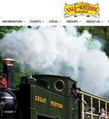 VALE OF RHEIDOL website, Devil's bridge, Wales, Welsh narrow gauge, steam, Dampfzug, Schmalspurbahn