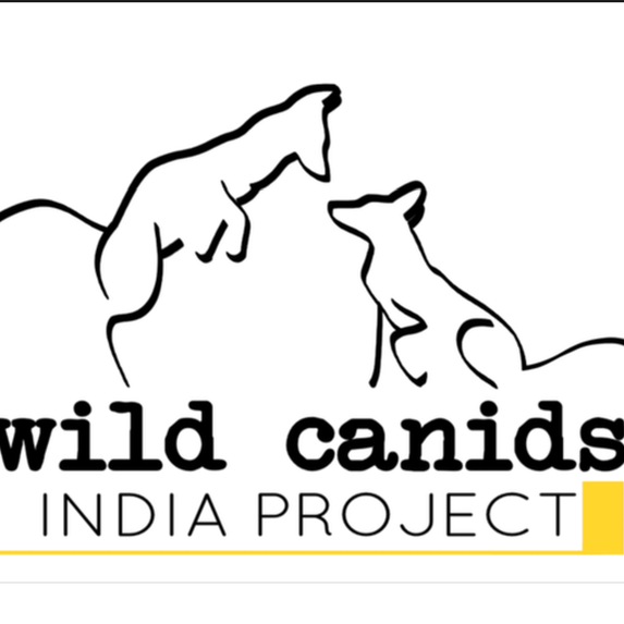 Wild Candis, Wolves, India Project