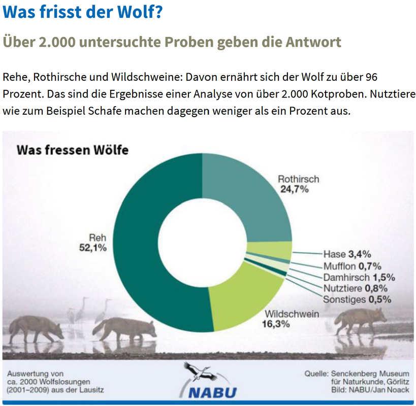 Wolf Diet, Was frisst der Wolf, Nourriture du loup, en Allemagne, in Germany, NABU Graphik