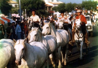 Rouusataio, Saintes Maries, Cheval Camargue, Camargue Pferd, Horse