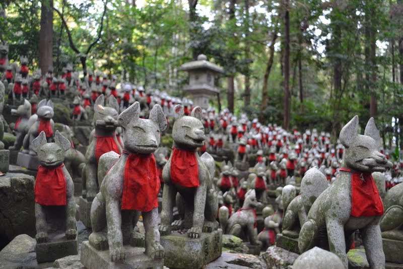 Inari shrine, foxes, deities, Shinto Japan