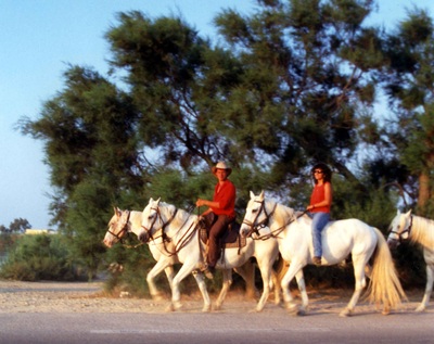 Cheval Camargue, Camargue Pferd, Horse - after Roussataio, 1995