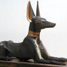 Anubis, Wepwawet, Egypt, wolf god, jackal god, loup en Egypte ancienne, le lycaon en Egypte. African Wild Dog, pre-pharaonic myth, Egyptian myth